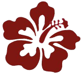 RONIZ Logo